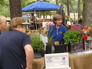 A Local Herb Garden